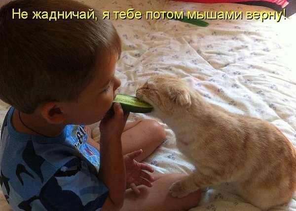 ��� ���� � ����� �� �� - 19 ����� 2016 � 02:30