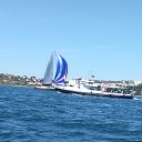 ���� �����, ���������� - ��������� 26 ���� 2016 � ������ ���� ����������