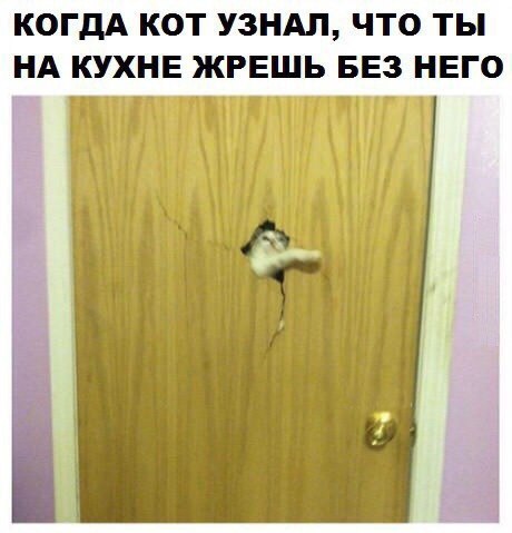  - 15  2016  13:08