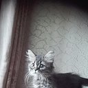 ���� �������, ������� - ��������� 12 ������� 2016 � ������ ���� ����������