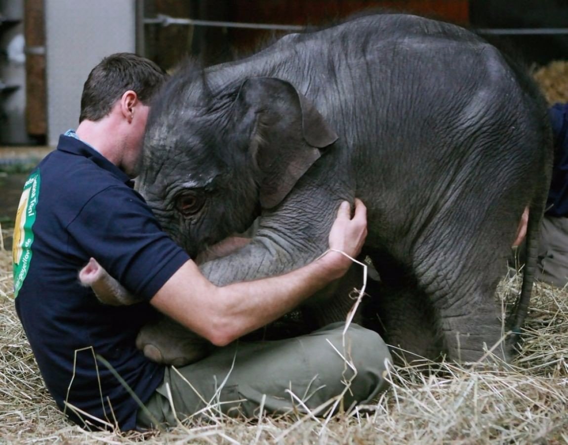   .#animal@travel.blog