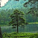 ���� �������, ������ - ��������� 30 ��� 2016 � ������ ���� ����������