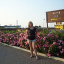 ������� ������ �� ������� ���� ����������