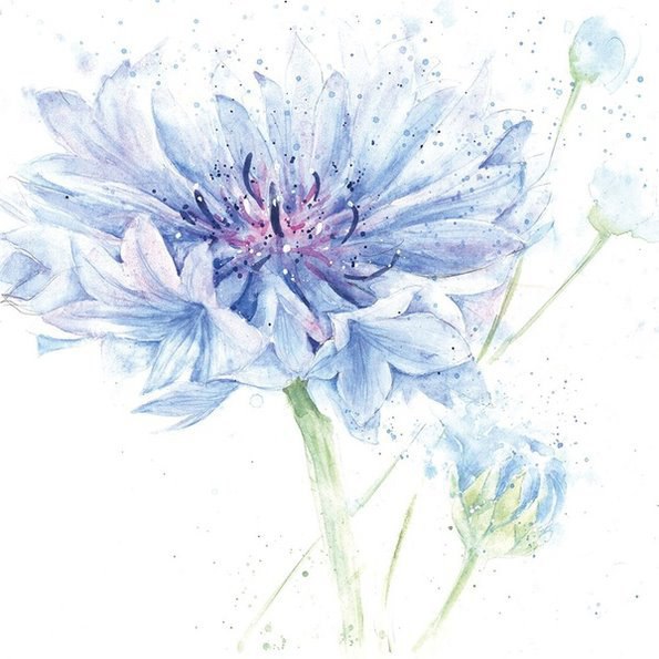 -   Rose Eddington.#@ele_art_school #@ele_art_school ... - 5