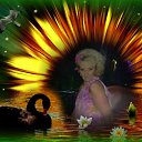 ���� �������, ������������ - ��������� 5 �������� 2016 � ������ ���� ����������