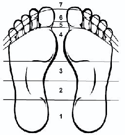 �������� ���� ���� �� ������.�� ������ ����� ���������� ������� �������� ����� ������������ ����� � ...