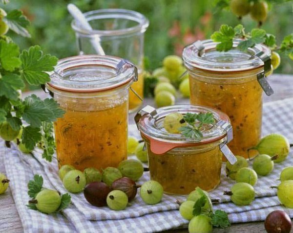 Варенье из крыжовника (не варить).Нам понадобится для этого варенья следующее:-Зеленого крыжовника - ...