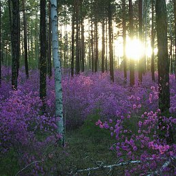 ������, ������, 22 ����