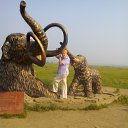 ������� ������������ ��������. ���-�� � ������ ������ �� ������� ���� ����������