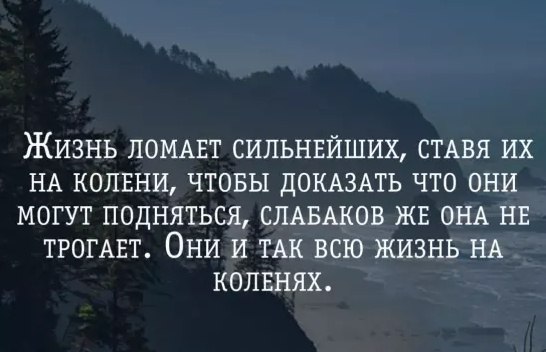   - 14  2016  08:13