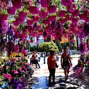  ,  -  15  2016    13 һ