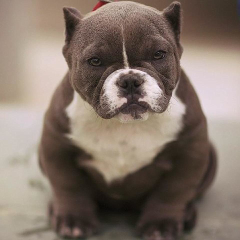 ***Victoria Viktorovna*** - 14  2016  16:13