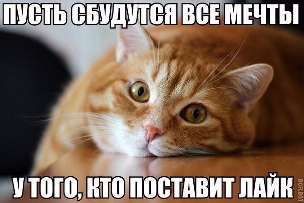       - 8  2016  20:06