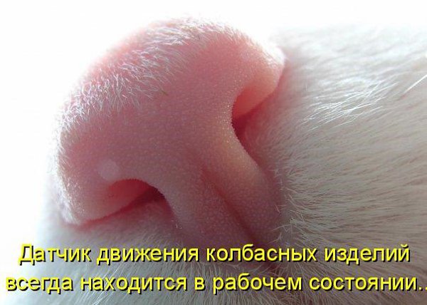 ��� ���� � ����� �� �� - 11 ����� 2016 � 02:02