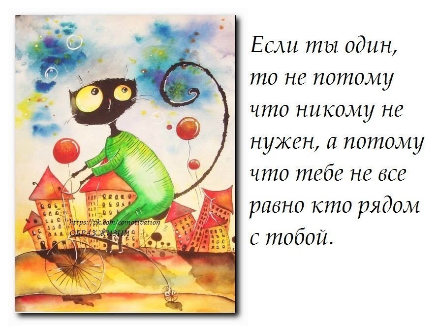 ������� - 28 ��� 2016 � 21:15