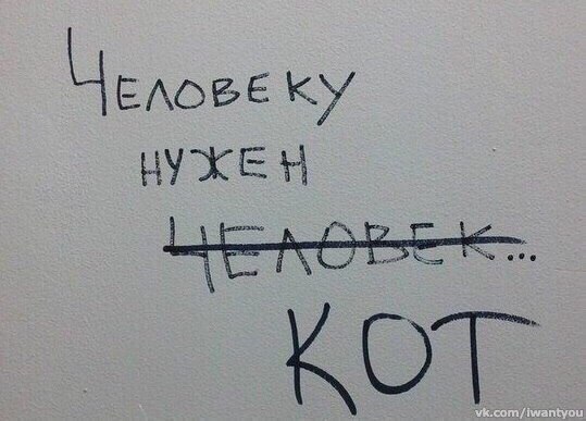    - 14  2016  01:17