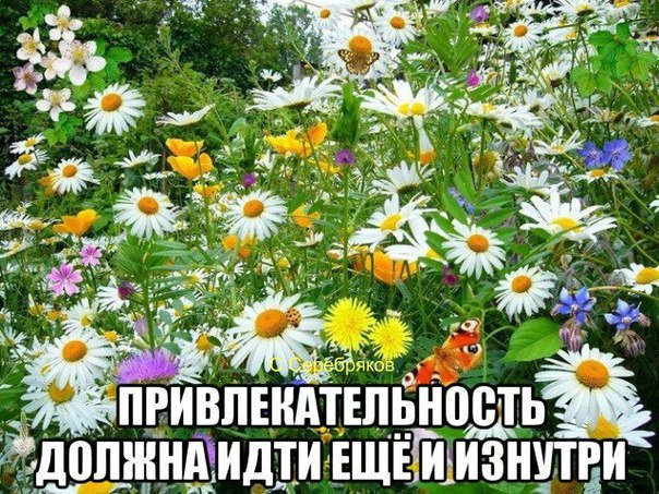   <a href=