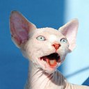 ���� ������, ��������, 58 ��� - ��������� 30 ���� 2016