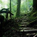 ���� �������, ������, 46 ��� - ��������� 10 ���� 2016 � ������ ������ ��������