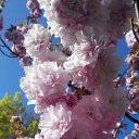 ���� Aimani, ������ - ��������� 2 ���� 2016 � ������ ���� ����������