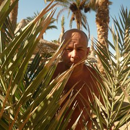 ����������, ��������, 58 ���