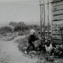 ���� ����, ������, 49 ��� - ��������� 16 ���� 2016 � ������ ������ ��������