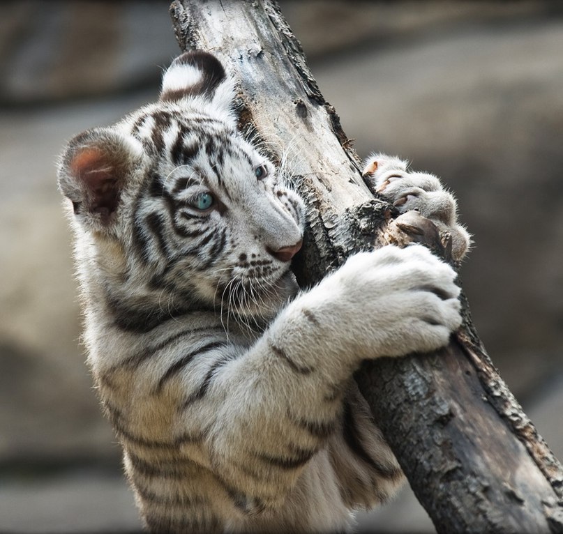   - 31  2016  00:05 - 4