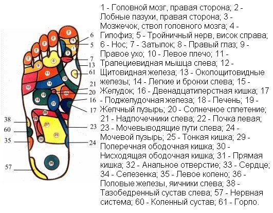 КАК УКРЕПИТЬ ЗДОРОВЬЕ С ПОМОЩЬЮ МАССАЖА СТОП.Массаж стоп оказывает стимулирующее воздействие не ...