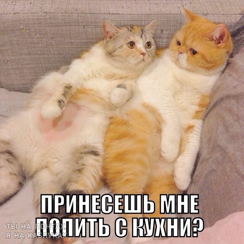  ,        ,  ,    ...   ...
