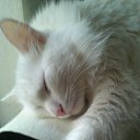 ���� �������������������������, �������-����� - ��������� 27 ���� 2016 � ������ ���� ����������