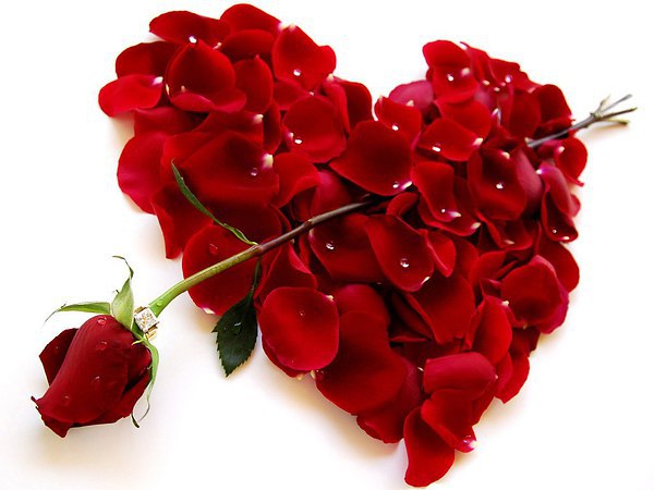 ###.   ,        .   ...