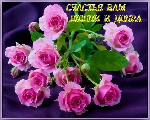 ~Dasha~ - 16  2016  14:59