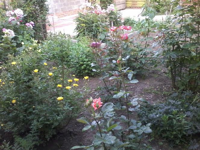 ��� ����� ! - 4