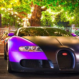 ���� ������, �����������, 51 ��� - ��������� 17 ����� 2016