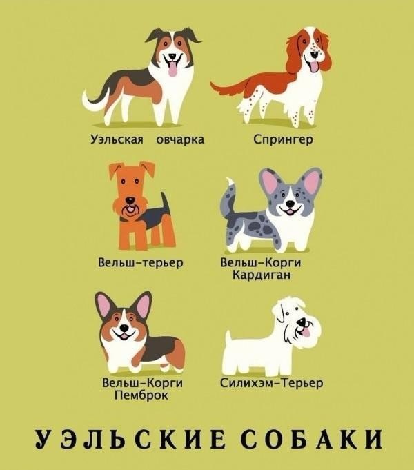  .#animal@travel.blog - 9