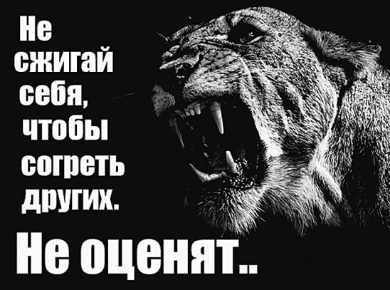 ***Victoria Viktorovna*** - 10  2016  07:23