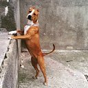 ���� ����, ���� - ��������� 22 ����� 2016 � ������ ���� ����������