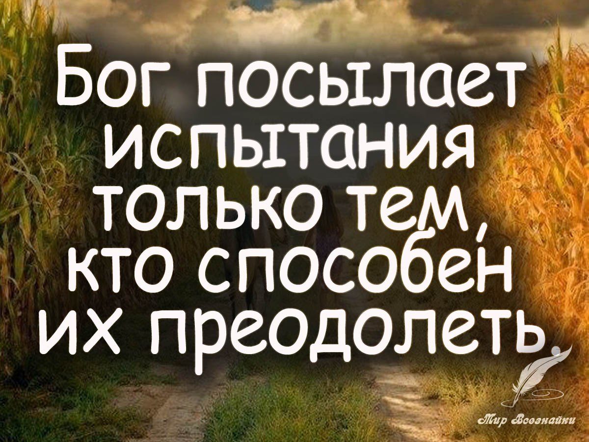        ,      - <a href=