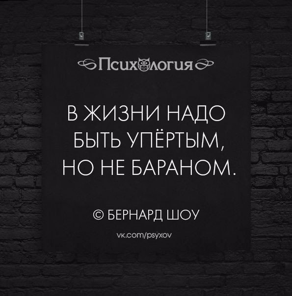 Жить надо по японски. В жизни надо быть упёртым но не бараном. Упертый человек цитаты. Надо быть упертым. В жизни надо быть упертым.