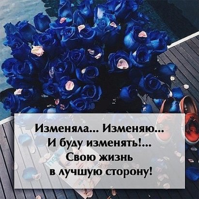  , !    ,   ,    ,   , ...