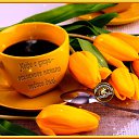 ���� Olga, �������, 60 ��� - ��������� 25 ���� 2016 � ������ ������