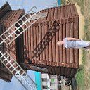 ���� ������, ������, 59 ��� - ��������� 25 ������� 2016 � ������ ���� ����������