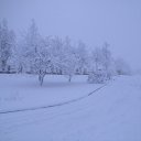 ���� ����������, ����, 75 ��� - ��������� 28 ���� 2016 � ������ ������������ �������������