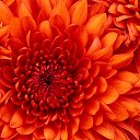 ���� Serhiy, �����, 41 ��� - ��������� 8 ���� 2016 � ������ ���� ����������