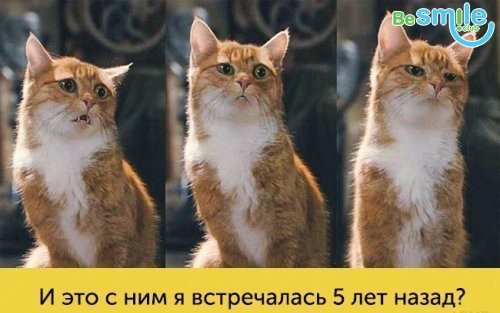     .   - 3