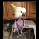 ���� George, �������, 52 ���� - ��������� 18 ���� 2016 � ������ �:)�