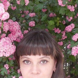 �������, ����, 49 ���