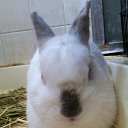 ���� Kang, �����, 54 ���� - ��������� 27 ���� 2016