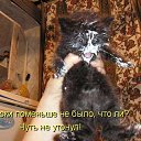  ,  , 63  -  12  2016    