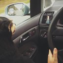  Vidmantas, , 52  -  30  2016    